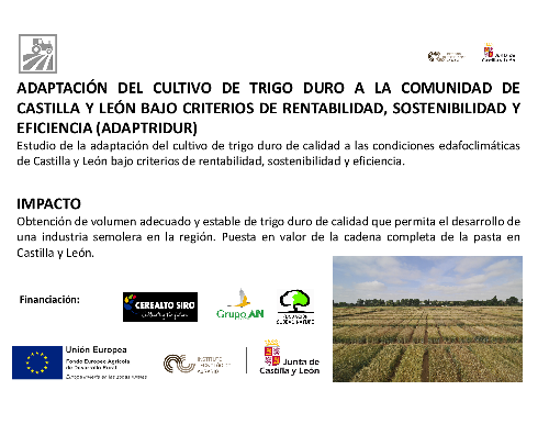 Adaptación del cultivo de trigo duro de calidad a la Comunidad de Castilla y León bajo criterios de rentabilidad, sostenibilidad y eficiencia (ADAPTRIDUR)